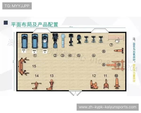 国外酒店配备的综合健身器材配置与功能解析