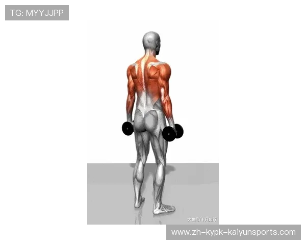 飞鸟健身器材:飞鸟训练器材的特点与肌群针对性讲解 飞鸟健身器材:飞鸟训练器材的特点与肌群针对性讲解